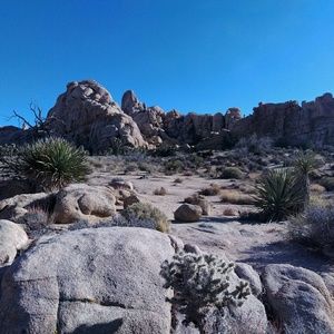 Meet your Posher, Jeanette